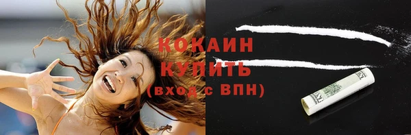 первитин Осинники