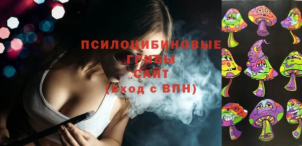 первитин Осинники