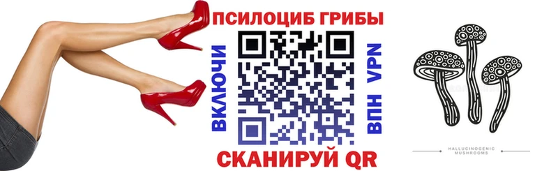 наркотики  Нахабино  Галлюциногенные грибы прущие грибы 