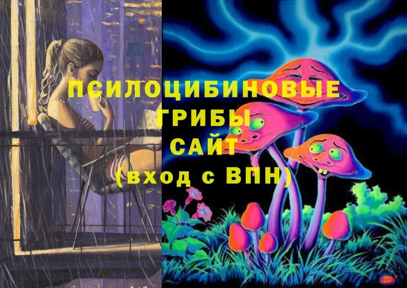 гидра tor  Нахабино  Псилоцибиновые грибы MAGIC MUSHROOMS  закладки 